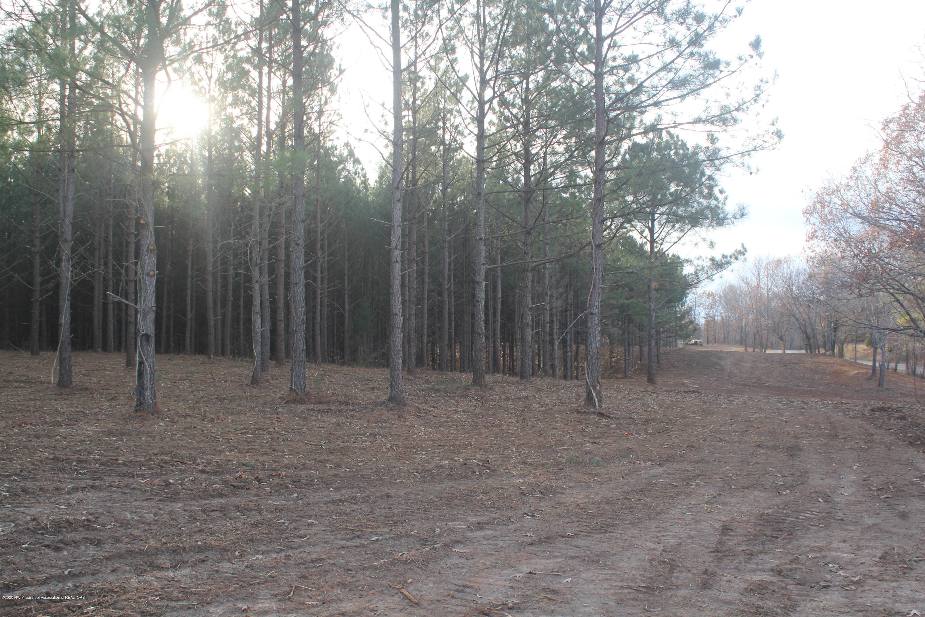 251 Hogan Road Lamar, MS 38642 - Photo 8 of 32 IMG_5326