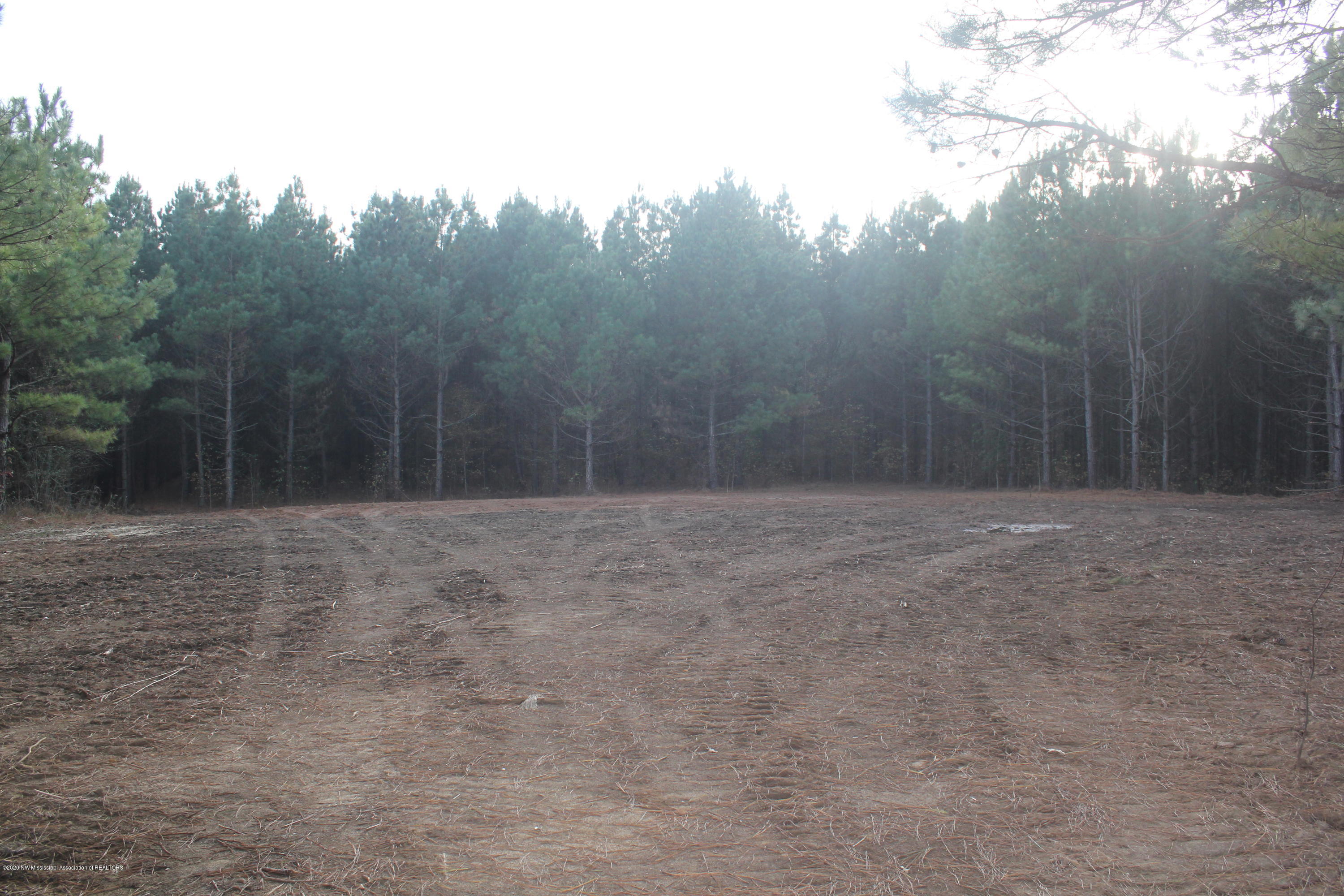 251 Hogan Road Lamar, MS 38642 - Photo 10 of 32 IMG_5328