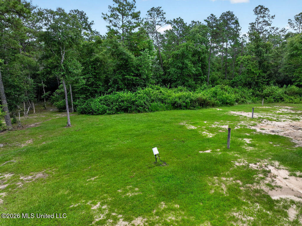 94 Desoto Road McHenry, MS 39561 - Photo 25 of 37 94DesotoRd.S-25