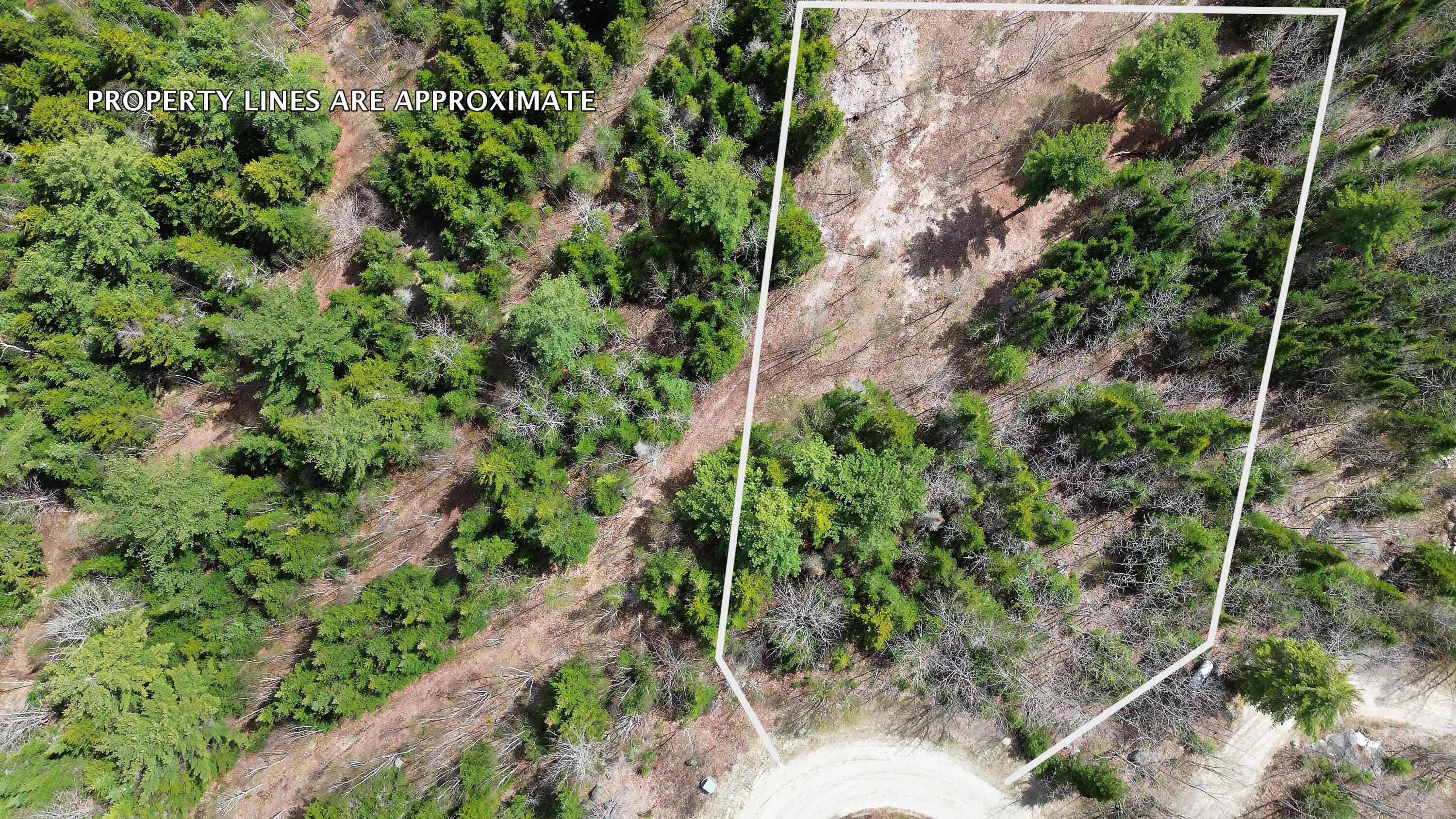 Lot 9 Bailey Mountain Road Franklin, ME 04634 - Photo 5 of 13