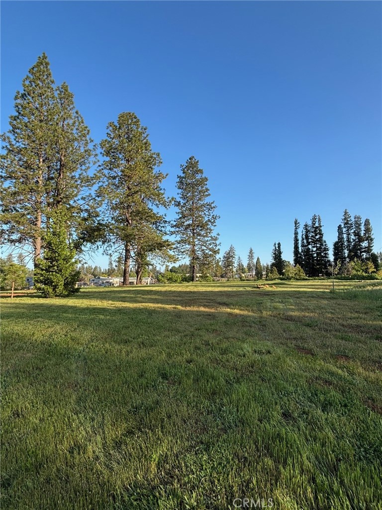 0 Libby Road Paradise, CA 95969 - Photo 2 of 11