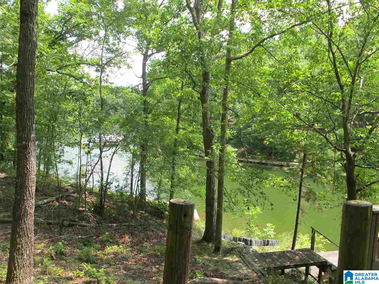 0 Edwards Drive, Unit 1 Wedowee, AL 36278 - Photo 10 of 13