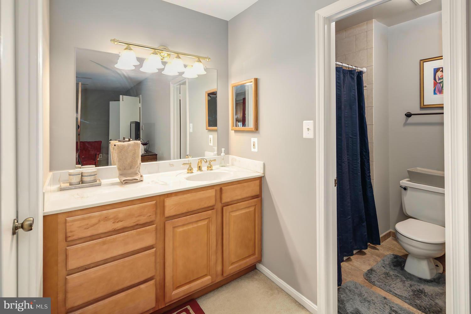 7910 Birchtree Court Springfield, VA 22152 - Photo 15 of 24 Bath (Master)