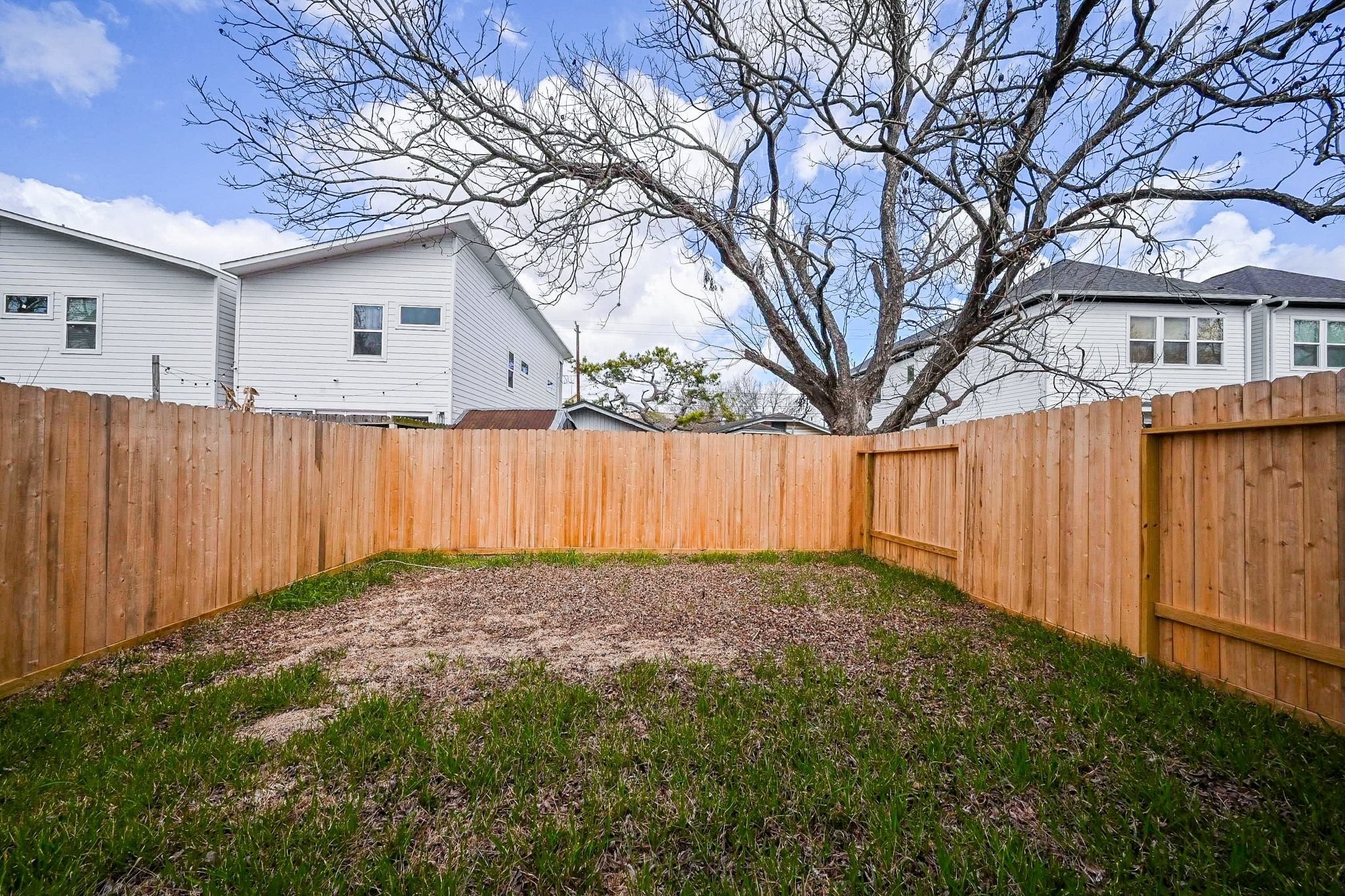 3839 Noah Street, Unit B Houston, TX 77021 - Photo 18 of 19 This photo shows a small, fenced backyard with a wooden privacy fence. The area has a mix of grass and bare patches, and a large tree provides some natural shade. It offers a private outdoor space suitable for gardening or relaxation.