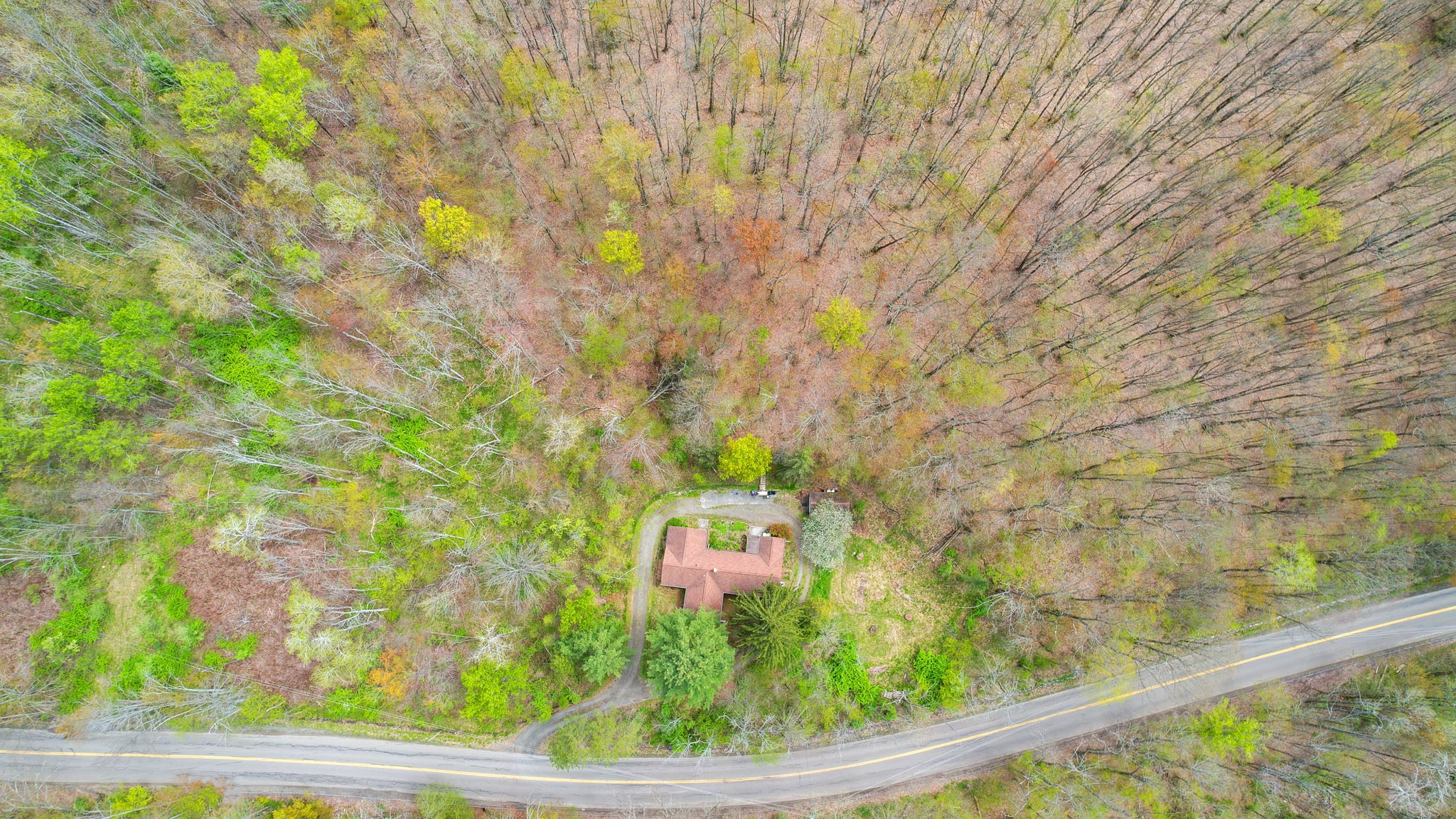 704 Powderhouse Road Vestal, NY 13850 - Photo 43 of 48