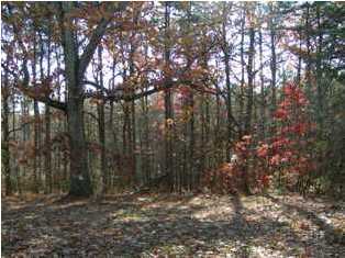 0 Hall Road Signal Mountain, TN 37377 - Photo 5 of 5 Additional Photo