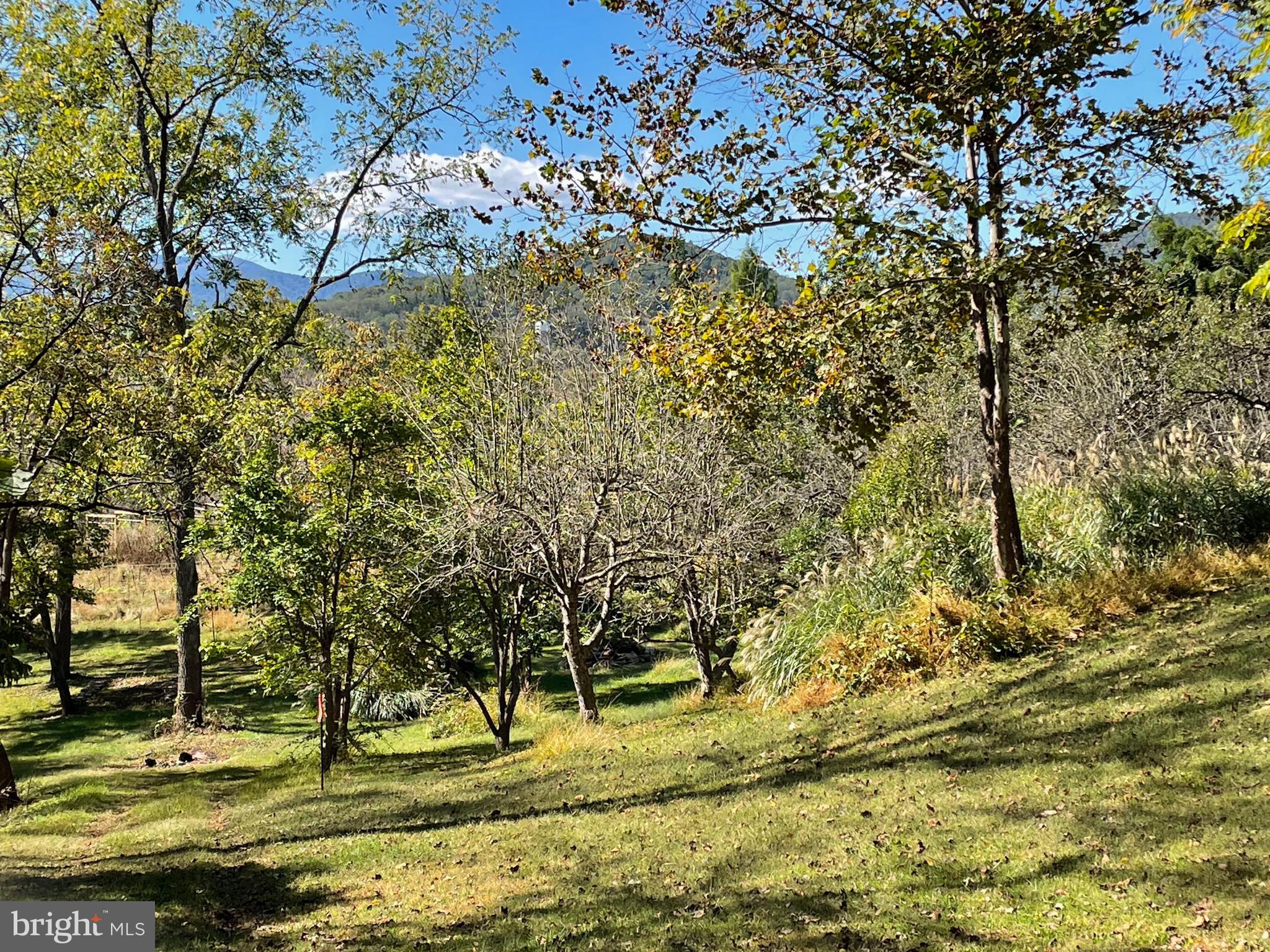 a view of swimming pool