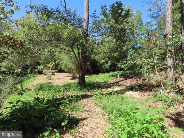 a view of yard