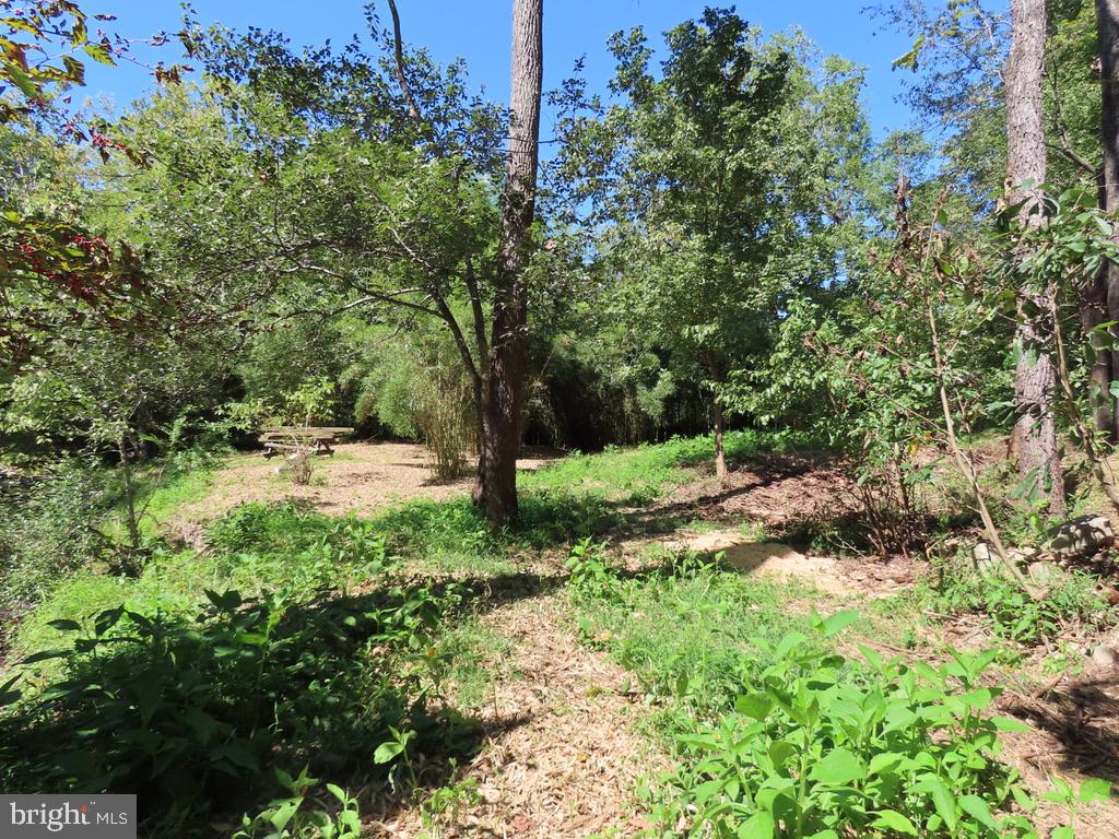 Tiger Valley Road Washington, VA 22747 - Photo 12 of 14 a view of outdoor space with a yard