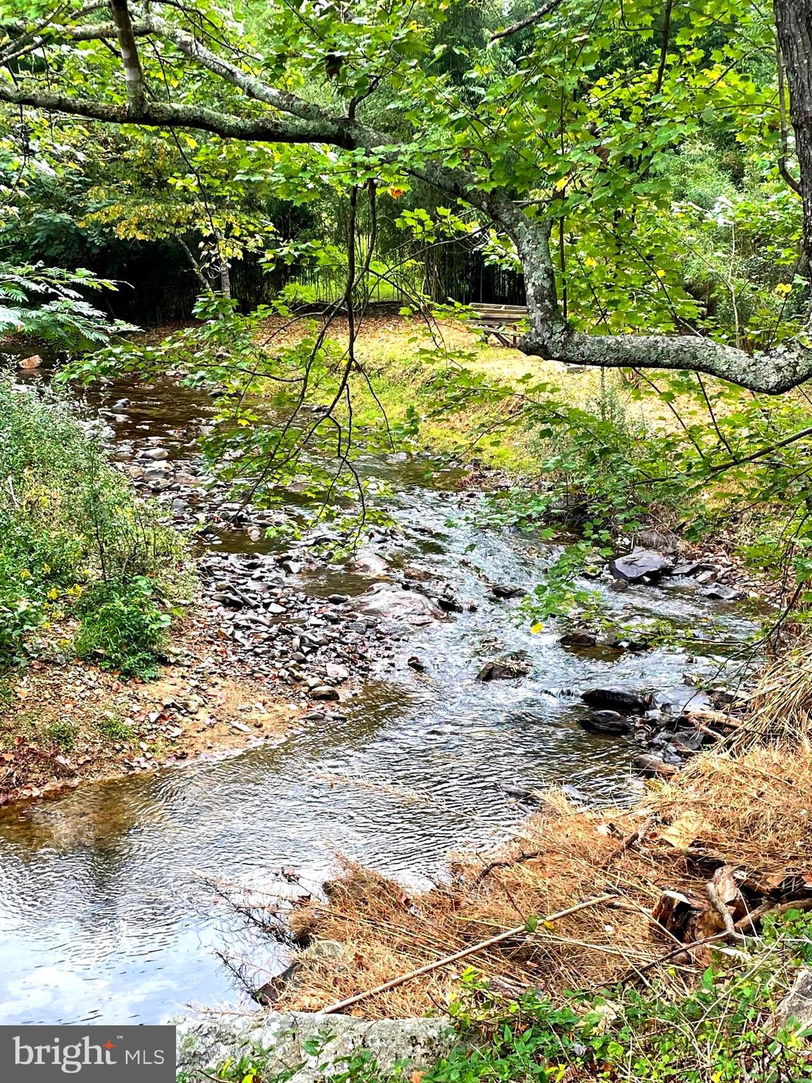 Tiger Valley Road Washington, VA 22747 - Photo 13 of 14 a view of yard