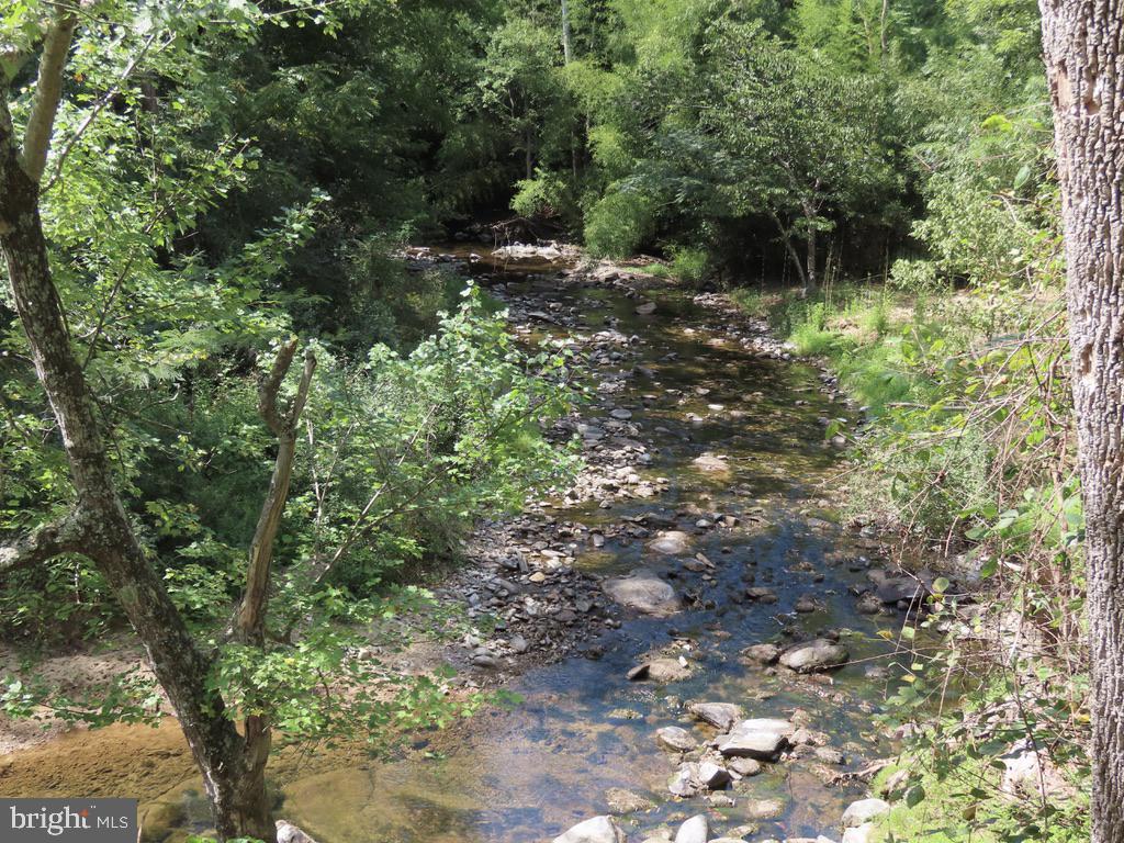 Tiger Valley Road Washington, VA 22747 - Photo 3 of 14 a view of a forest with a tree