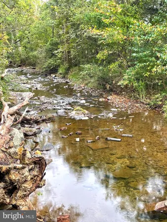 a view of a yard of the yard