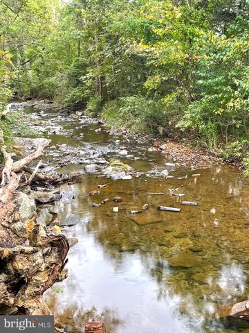 a view of a yard of the yard