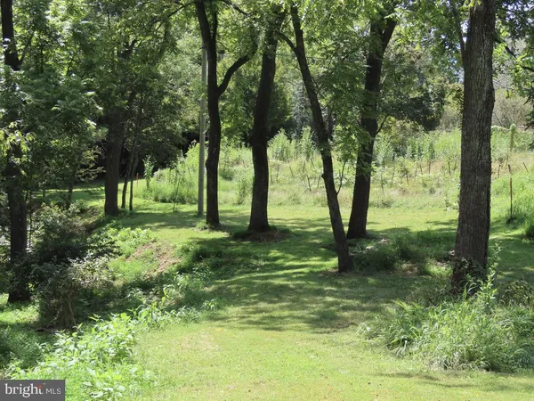 $250,000 | Tiger Valley Road, Washington, VA 22747