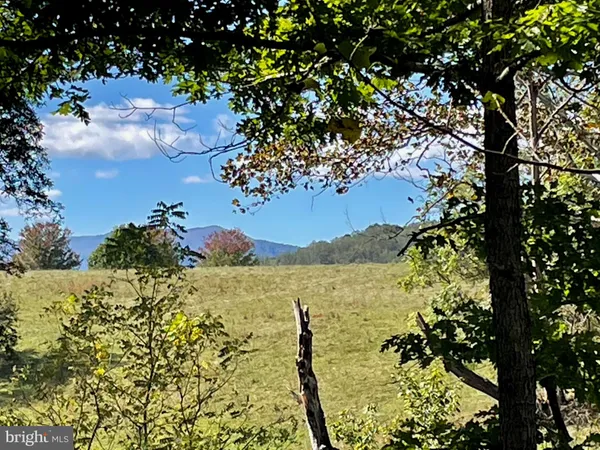 a view of a tree of the house