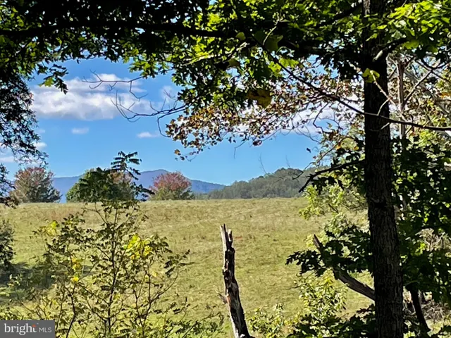 a view of a tree of the house