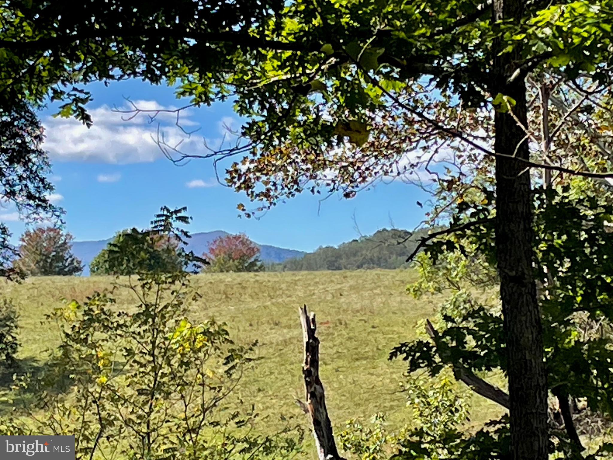 Tiger Valley Road Washington, VA 22747 - Photo 5 of 14