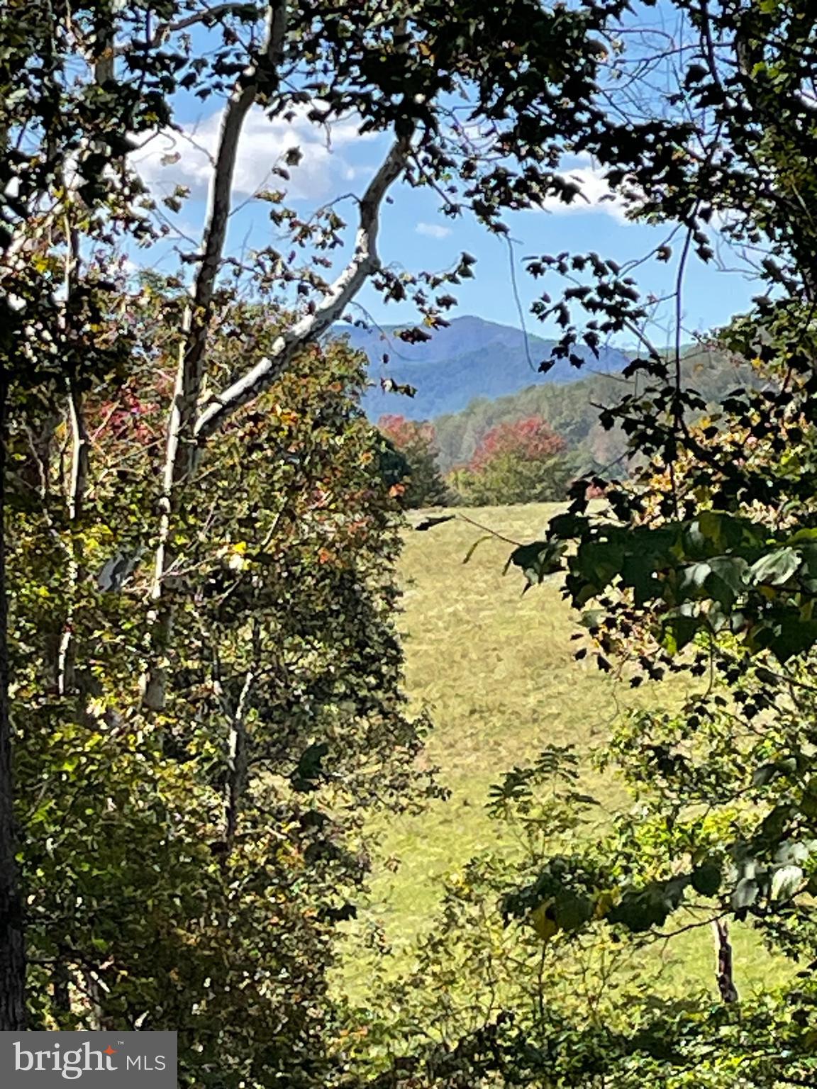 Tiger Valley Road Washington, VA 22747 - Photo 6 of 14 a view of a tree of the house