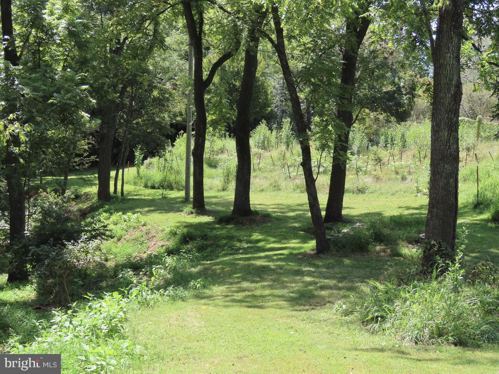 Tiger Valley Road Washington, VA 22747 - Photo 7 of 14 a view of outdoor space with a garden