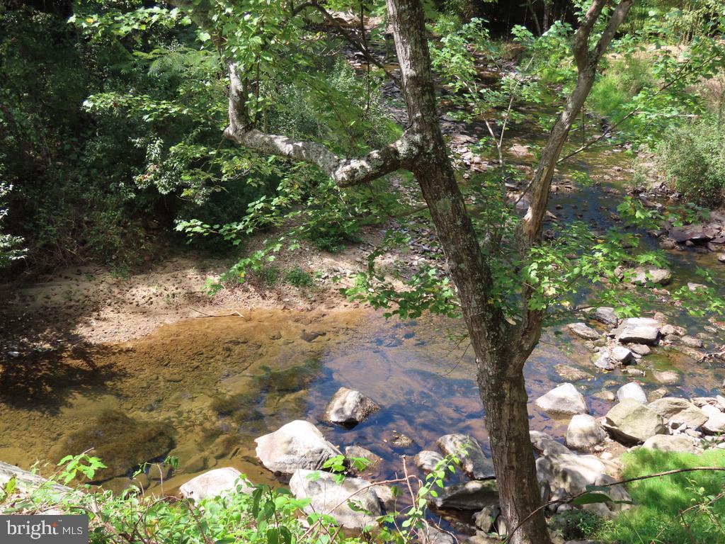 Tiger Valley Road Washington, VA 22747 - Photo 8 of 14 a backyard of a house with a yard with green space