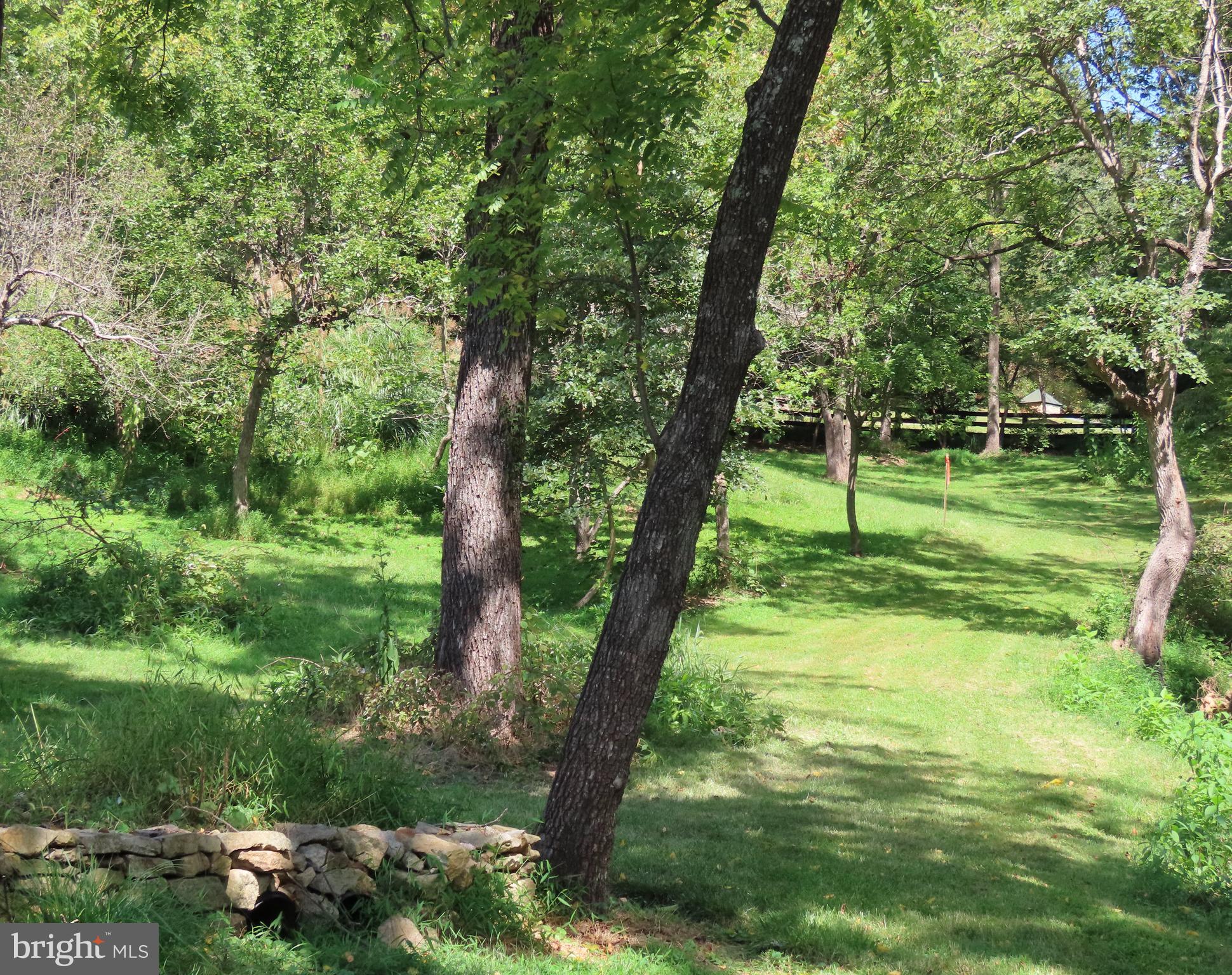Tiger Valley Road Washington, VA 22747 - Photo 9 of 14 a backyard of a house with lots of green space