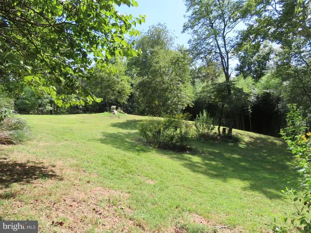 a view of a yard with a trees