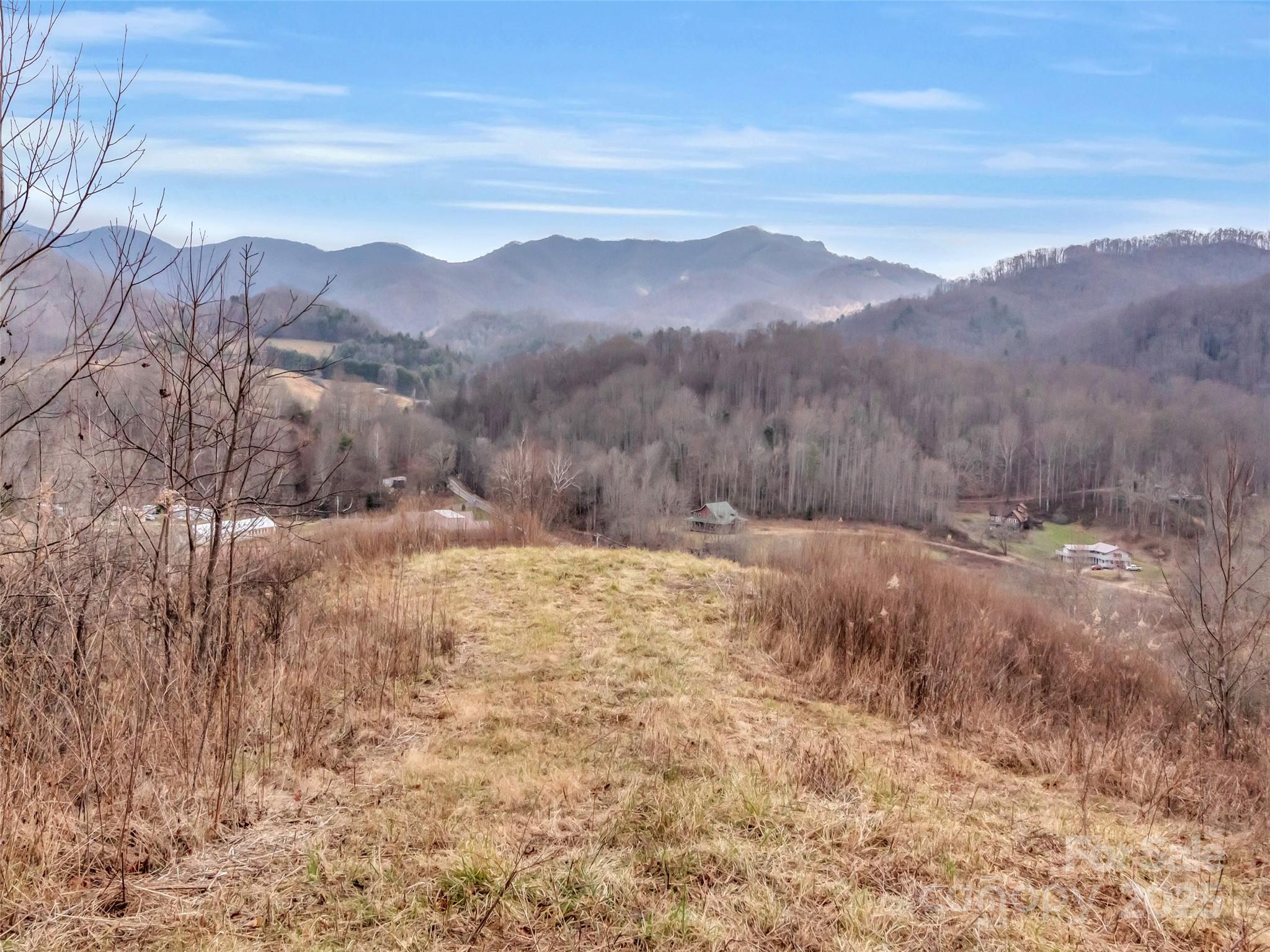 89 Kirkpatrick Cove Clyde, NC 28721 - Photo 2 of 28