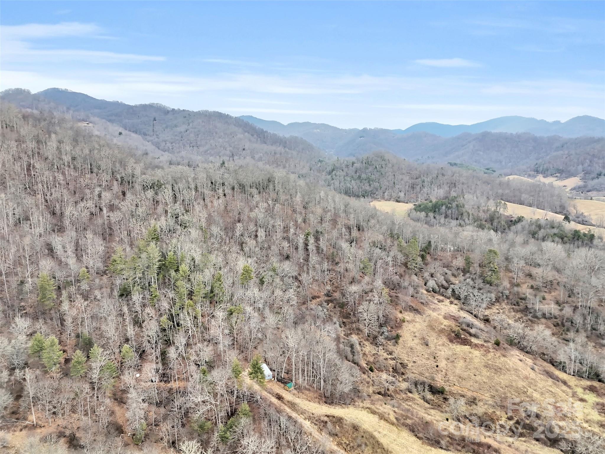 89 Kirkpatrick Cove Clyde, NC 28721 - Photo 3 of 28