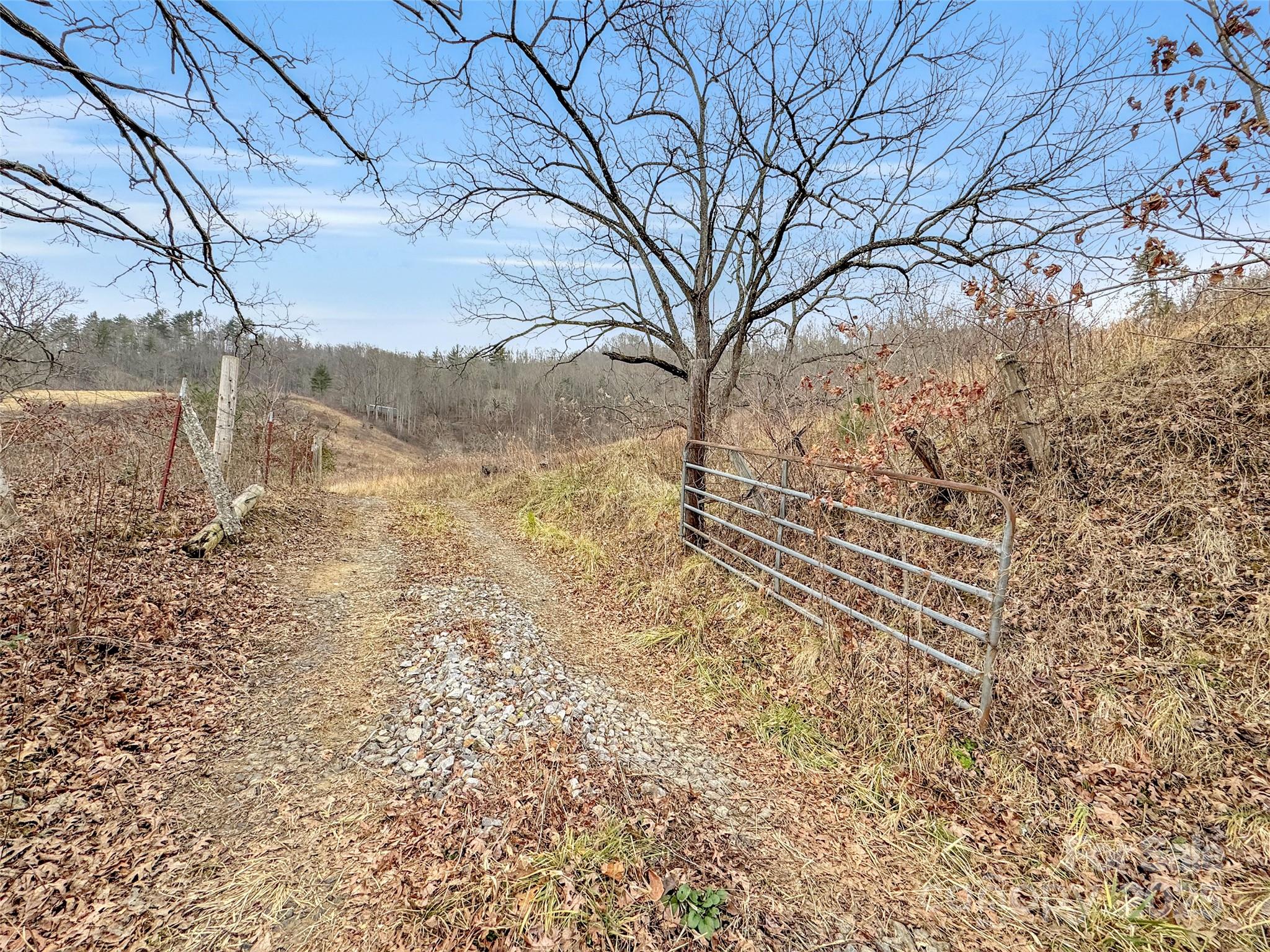 89 Kirkpatrick Cove Clyde, NC 28721 - Photo 6 of 28