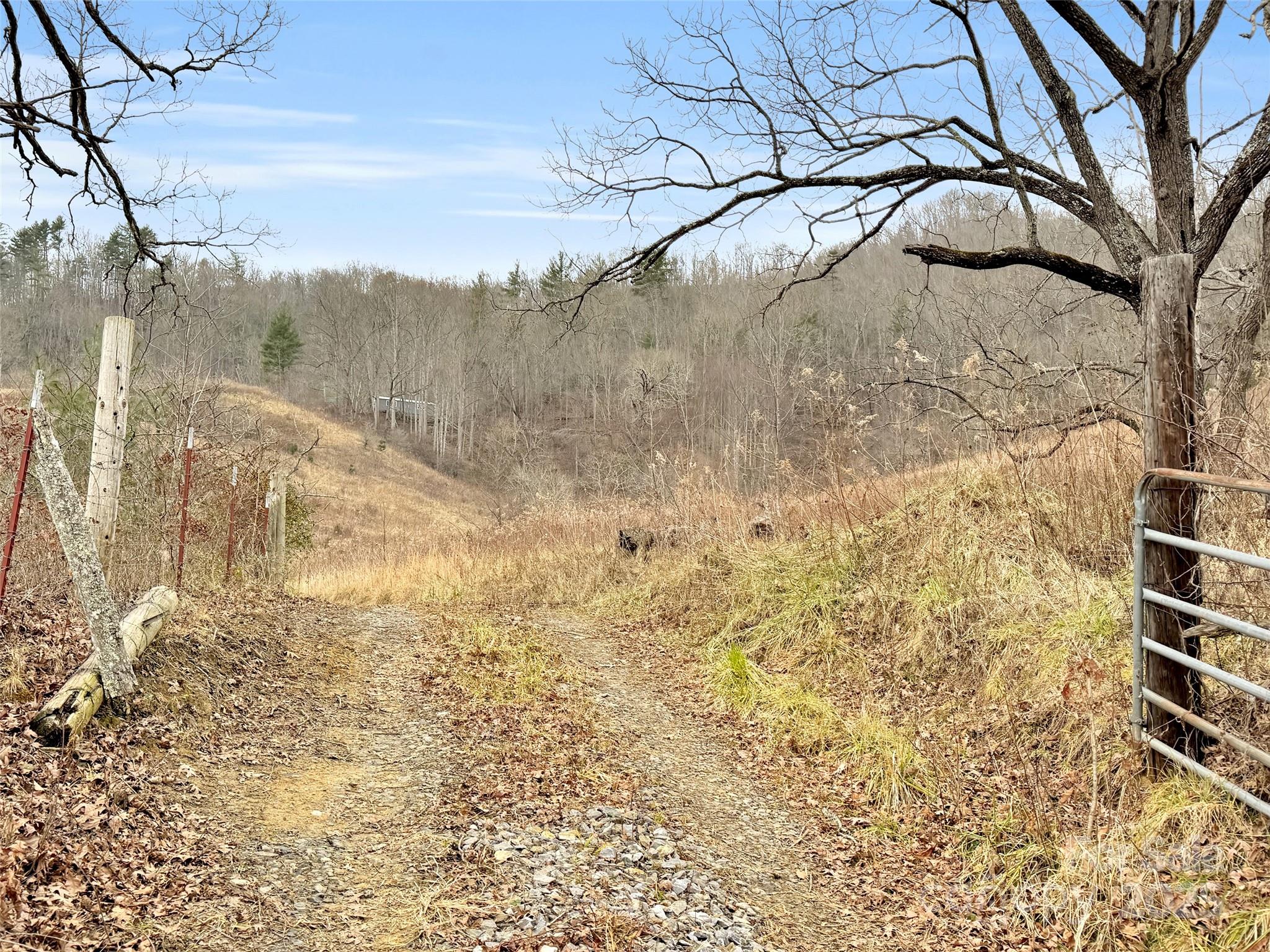 89 Kirkpatrick Cove Clyde, NC 28721 - Photo 7 of 28
