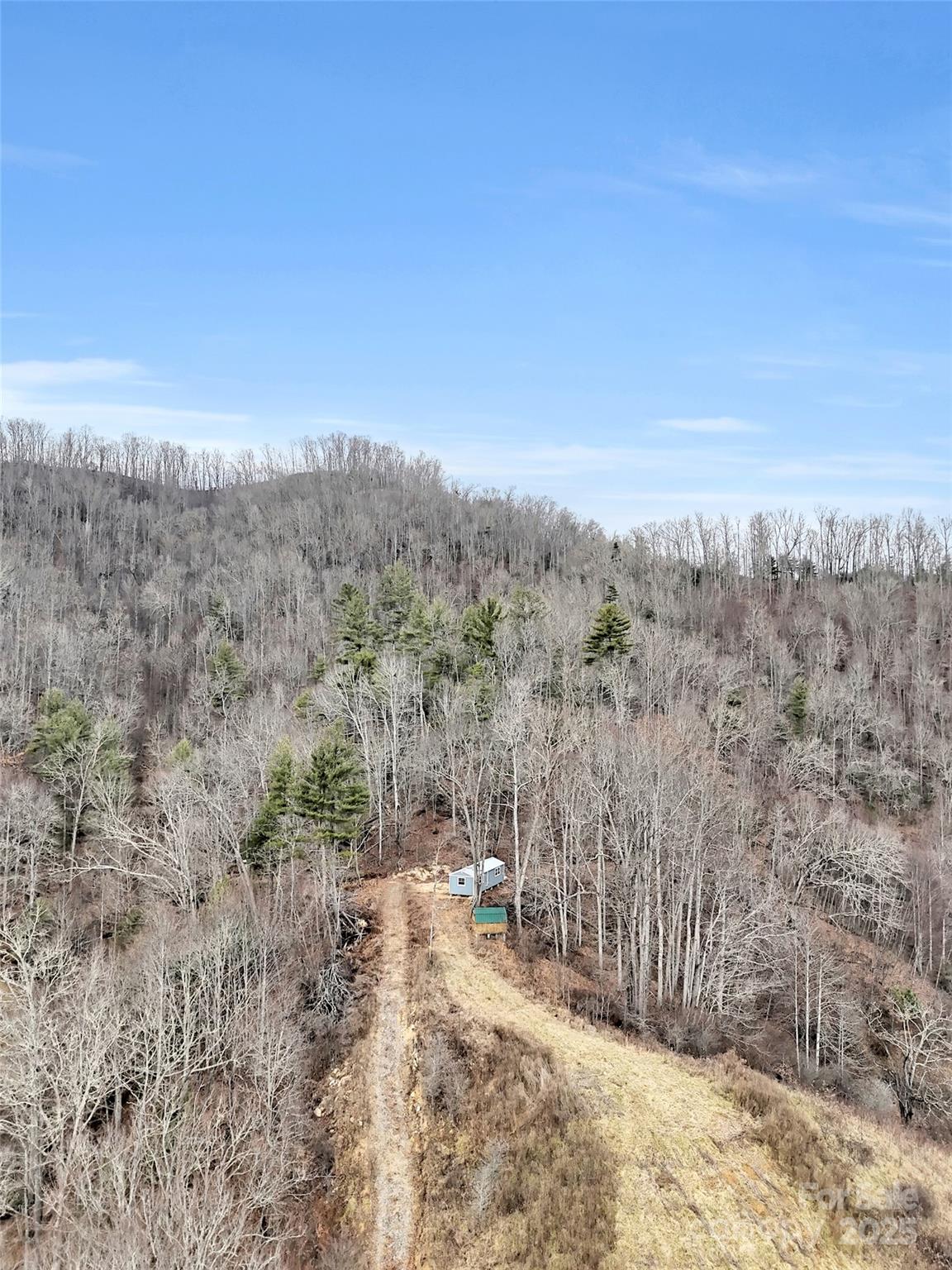 89 Kirkpatrick Cove Clyde, NC 28721 - Photo 8 of 28