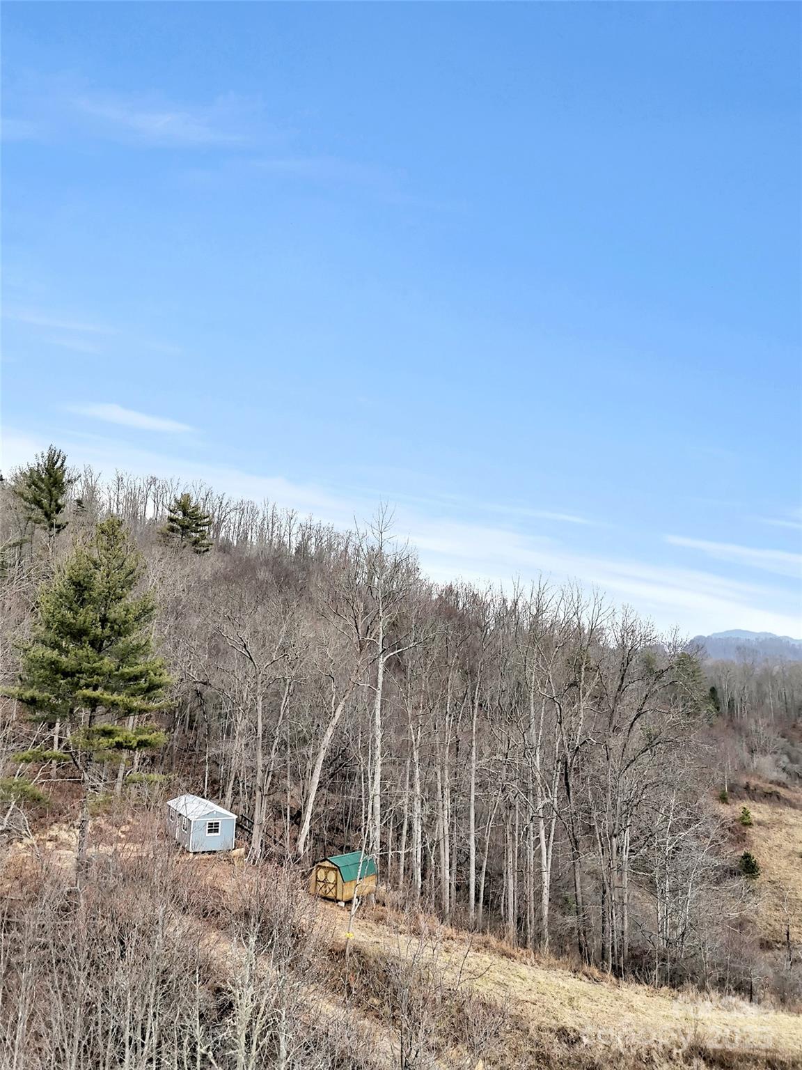 89 Kirkpatrick Cove Clyde, NC 28721 - Photo 9 of 28