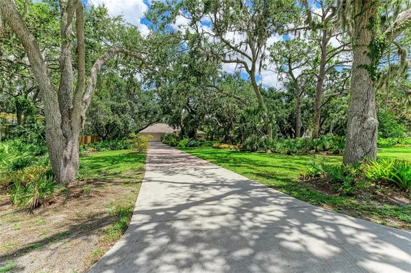 a view of a park with large trees