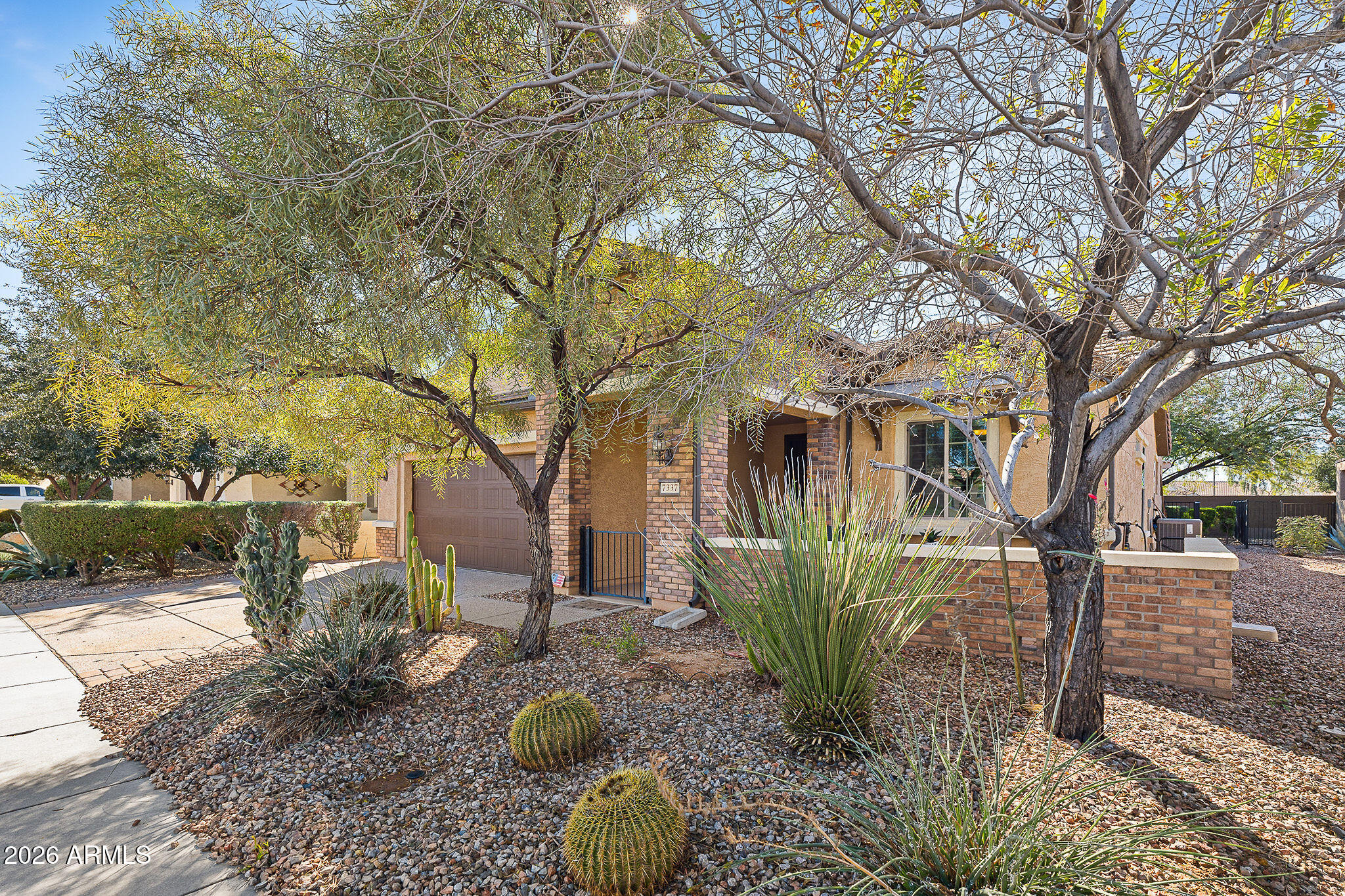 7337 West Silver Spring Way Florence, AZ 85132 - Photo 10 of 60 a view of a backyard with table and chairs potted plants and large tree