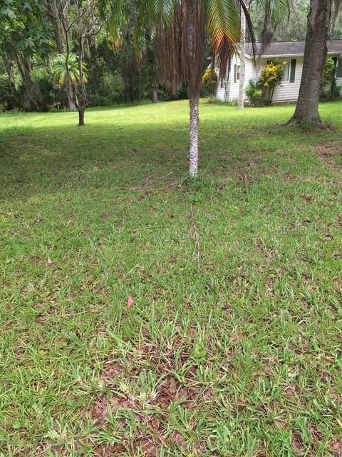 3091 Log Cabin Lane Edgewater, FL 32132 - Photo 14 of 19