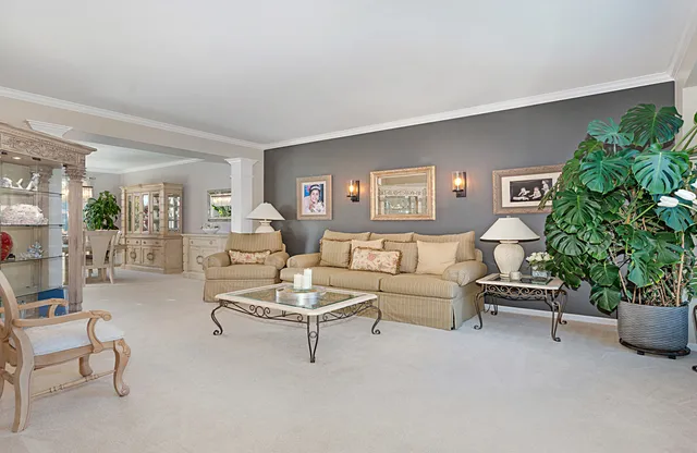 a living room with furniture potted plant and a window