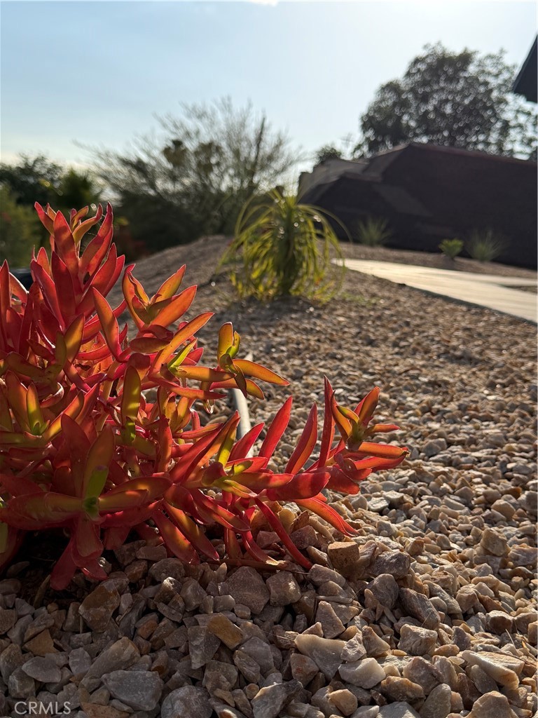755 Huston Drive Riverside, CA 92507 - Photo 16 of 67