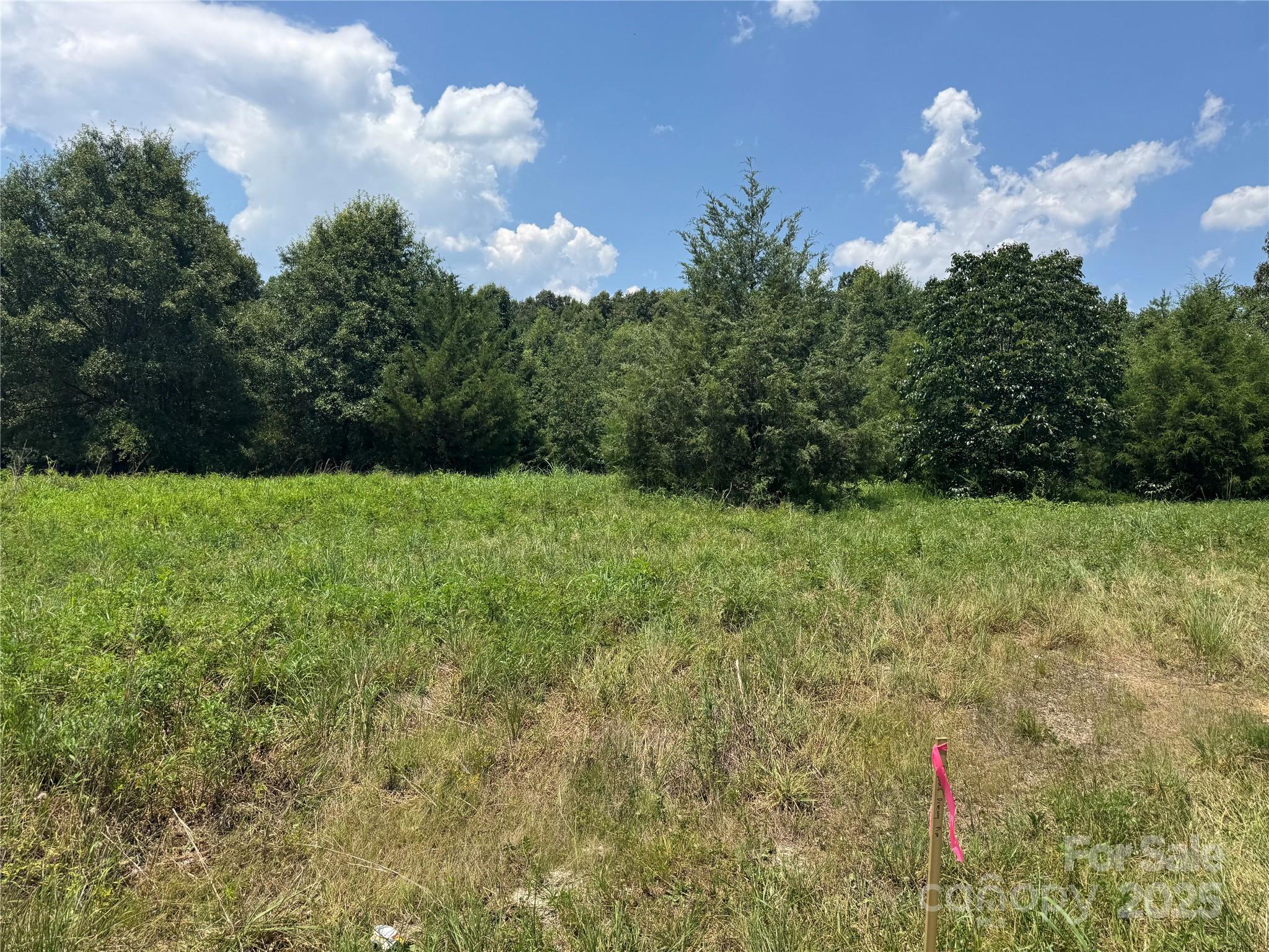 5621 Fish Road Marshville, NC 28103 - Photo 3 of 3 a backyard of a house with lots of green space