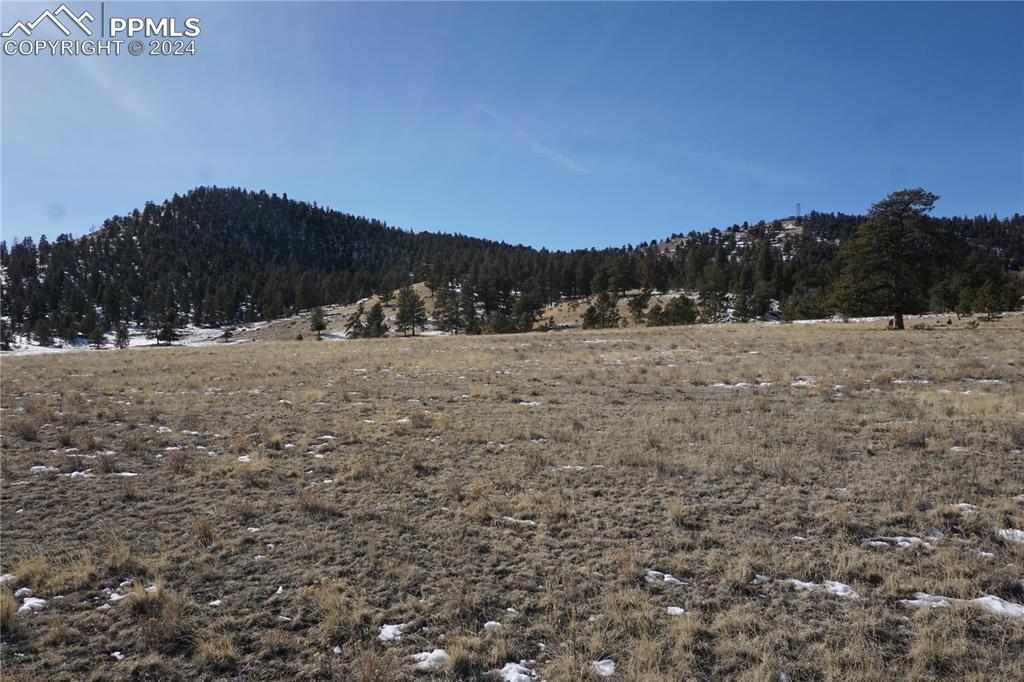 124 Boulder Road Hartsel, CO 80449 - Photo 12 of 12 a view of outdoor space