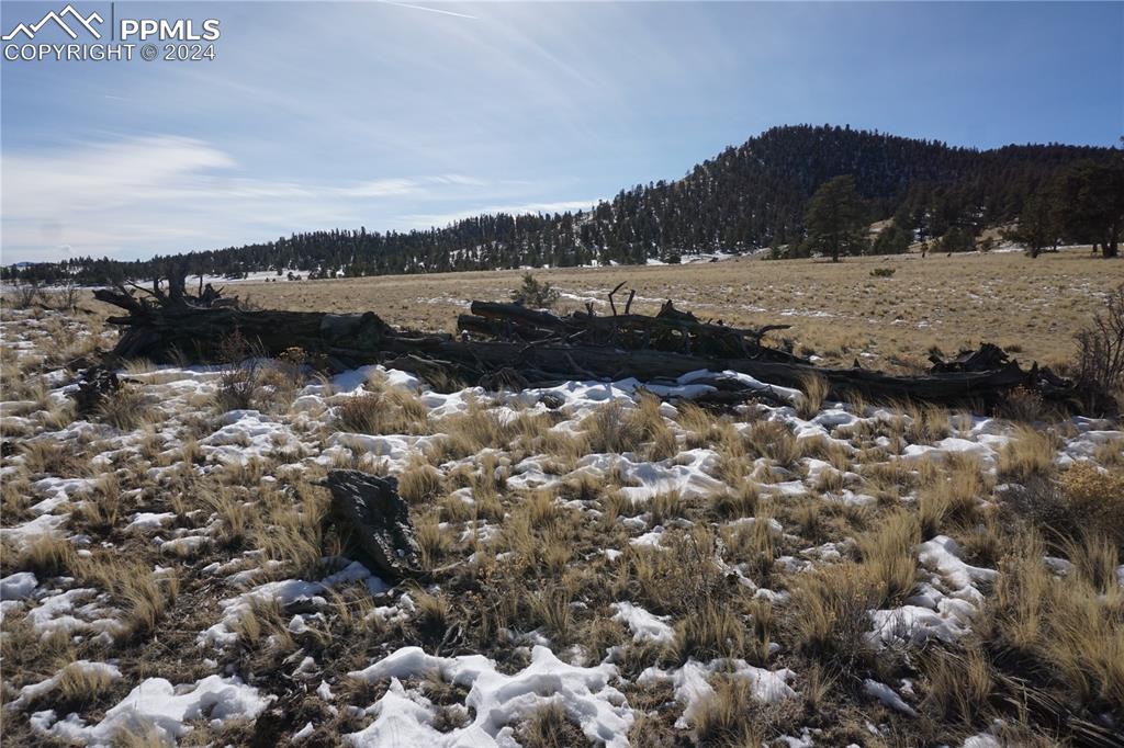 124 Boulder Road Hartsel, CO 80449 - Photo 3 of 12 a view of a lake with mountain in the background