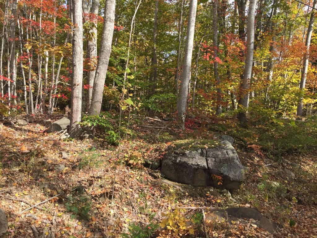 130 Priest Road Northport, ME 04849 - Photo 1 of 2 Photo