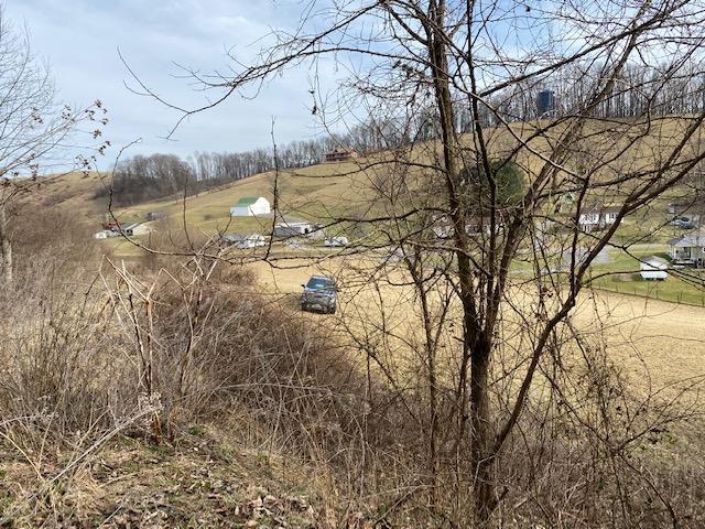 0 Old Saltworks Road, Unit 17 Meadowview, VA 24361 - Photo 15 of 16 old s19