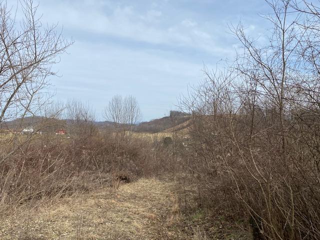 0 Old Saltworks Road, Unit 17 Meadowview, VA 24361 - Photo 8 of 16 old s7