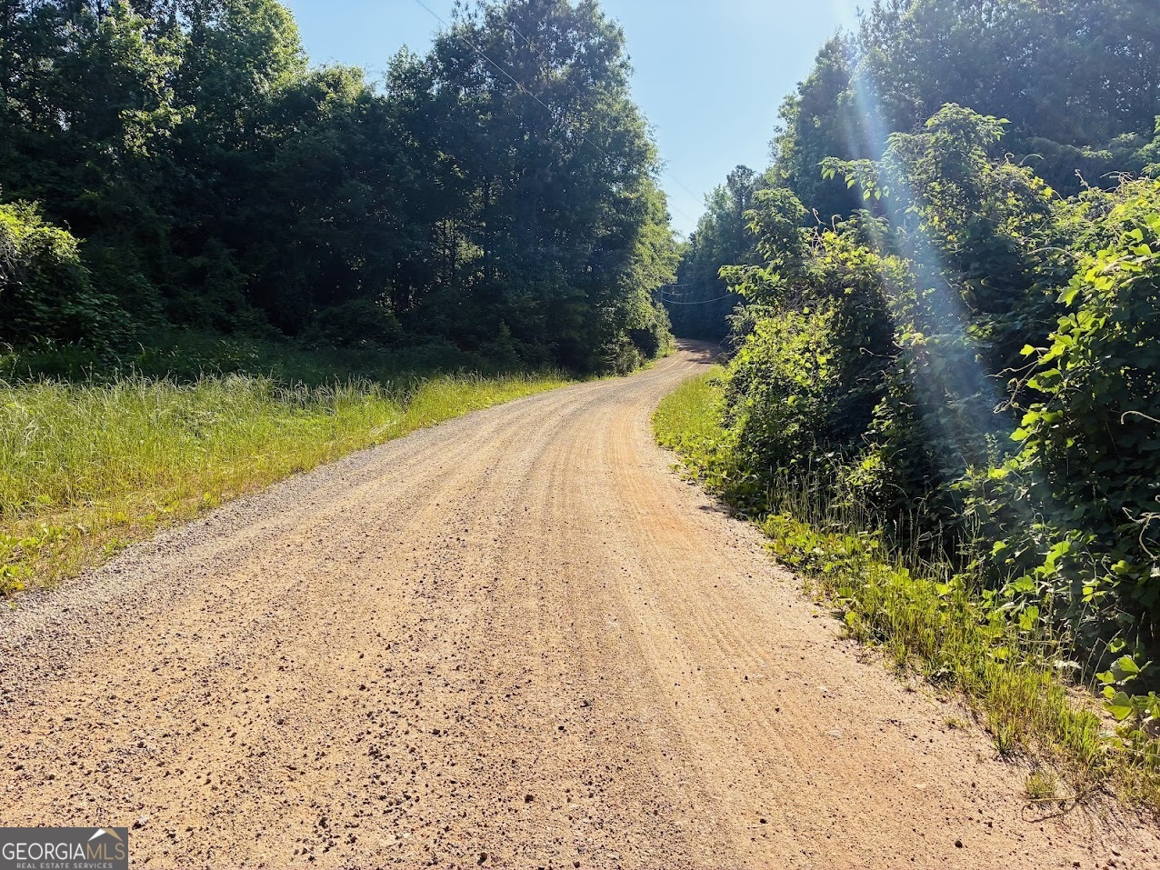 0 Creek Road, Unit LOT 1 Ashland, AL 36251 - Photo 3 of 26