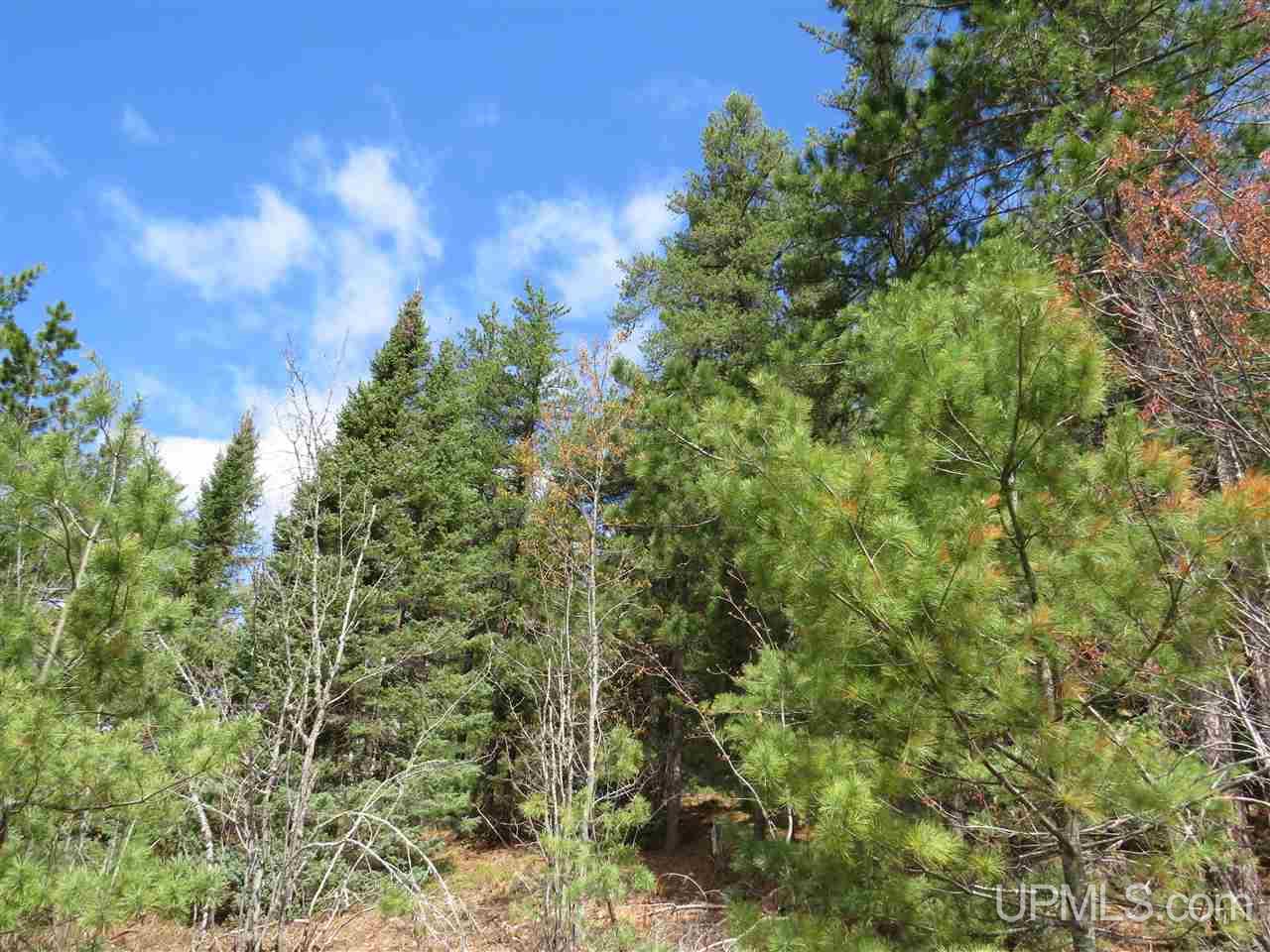 Tbd Tbd Off The Boise Route Road Negaunee, MI 49866 - Photo 2 of 45