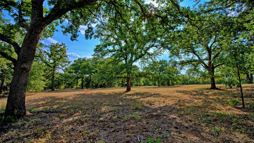 384 Red Oak Hills Road Nocona, TX 76255 - Photo 5 of 31 Gallery Image 5