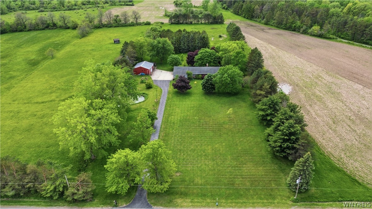 9950 Harper Road Darien, NY 14036 - Photo 20 of 50 Front yard