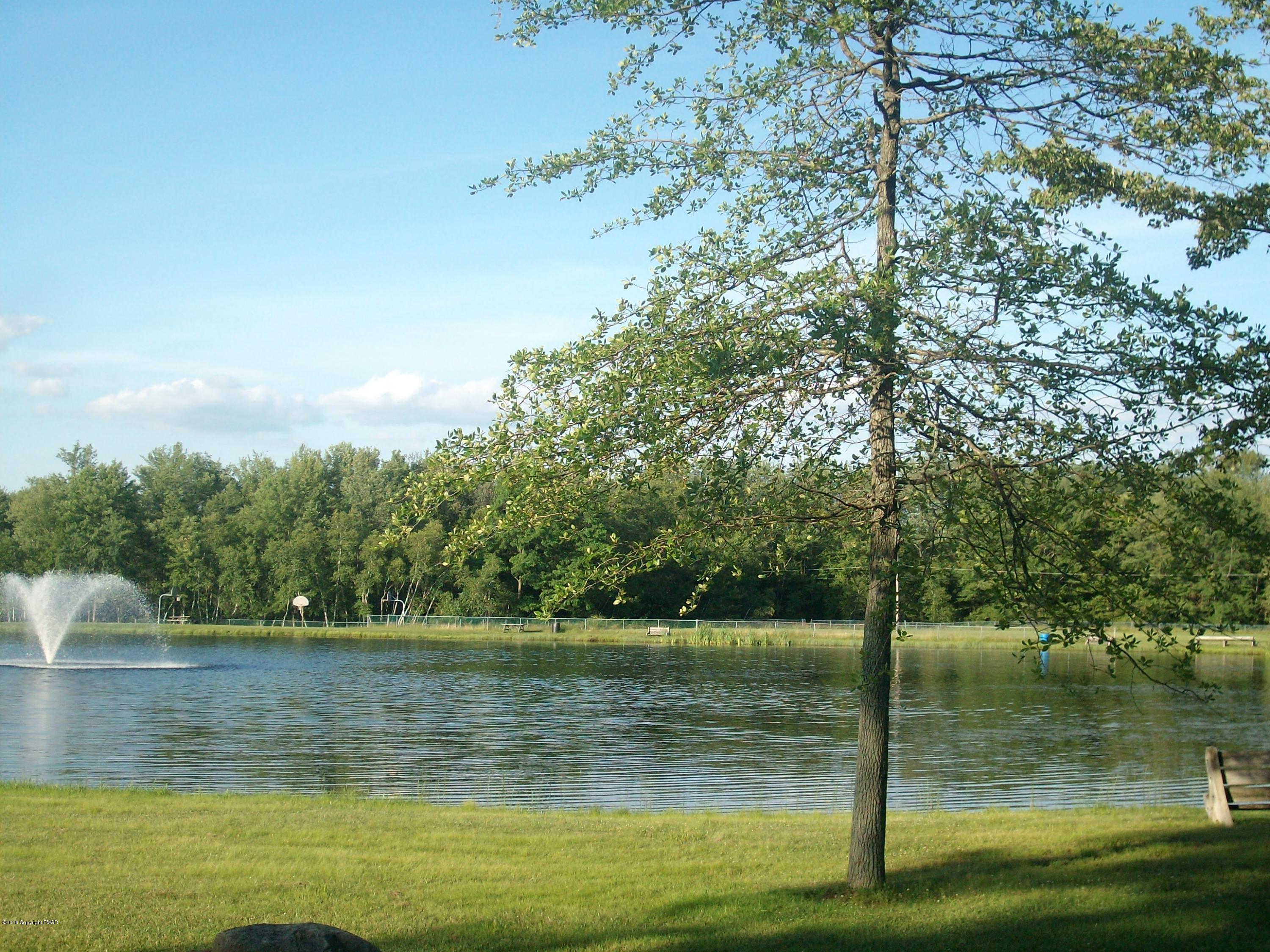 174 Ridge Road Pocono Lake, PA 18347 - Photo 30 of 41 LLV3 Lake with Tree