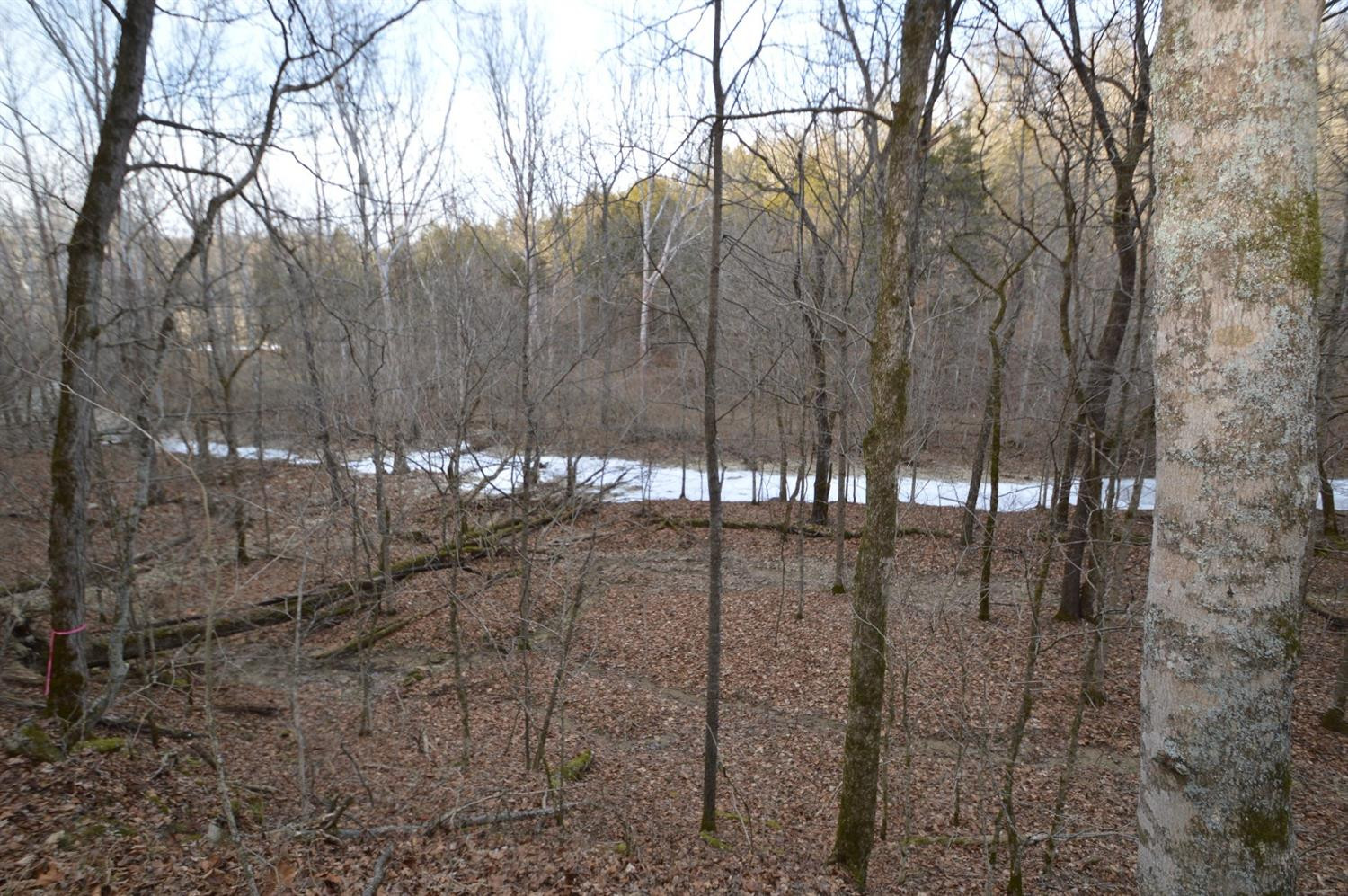1290 Dennis Road, Unit 3 Lawrenceburg, KY 40342 - Photo 27 of 76 In this view, you can just see Salt Rive