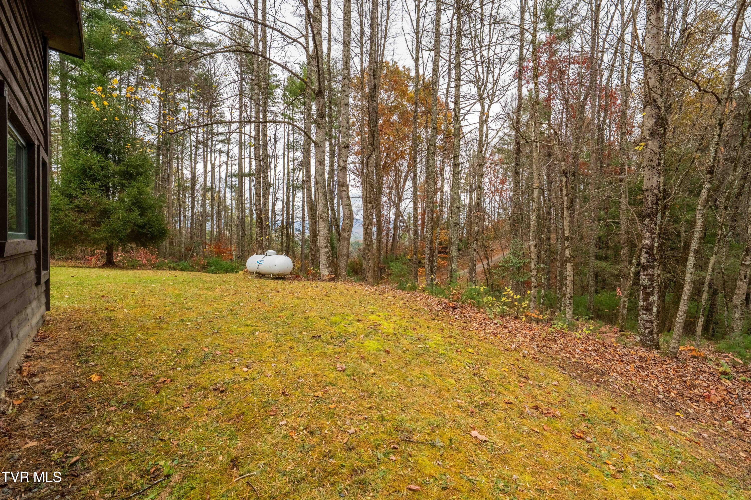 533 Possum Valley Road Mountain City, TN 37683 - Photo 38 of 40 533 Possum Valley Lane (17 of 40)